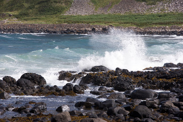 Wave Crashing - Giant's Causeway