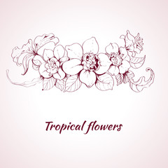 Tropical flower sketch