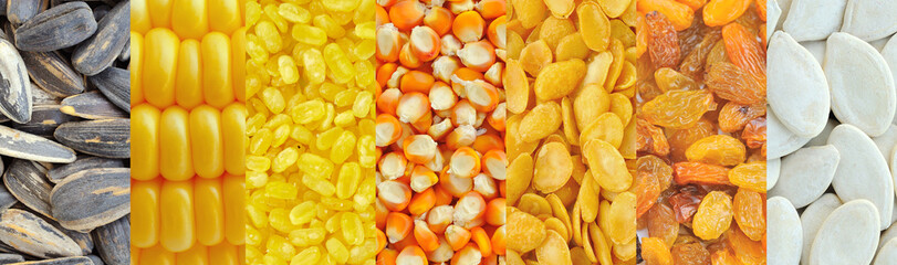 Corn, soybeans, raisins, sunflower seeds, pumpkin seeds ,Grains