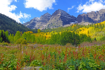 Fall Colors in the mountains - Maroon Bells Colorado