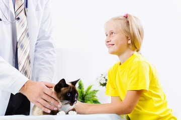 Cat at vet clinic