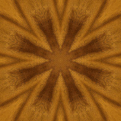 Seamless pattern, veneer teak