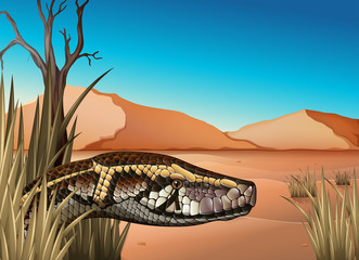 A desert with a reptile © blueringmedia