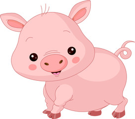 Farm animals. Pig