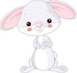 Farm animals. Bunny