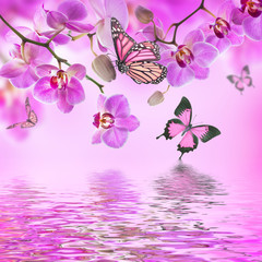 Floral background of tropical orchids and  butterfly - 63309913
