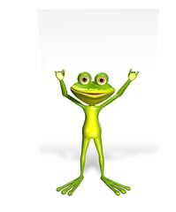 Frog and white background