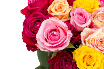 Multicolored roses