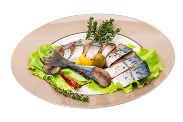 Mackerels