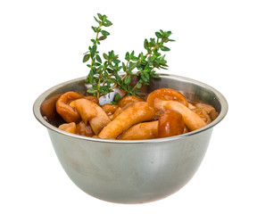 Armillaria