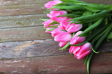 pink tulips