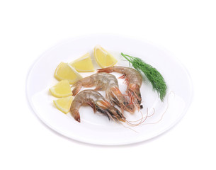 Raw shrimps on plate