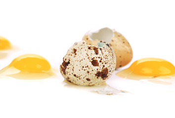 close up of raw broken quail eggs