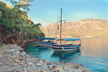 Obraz premium tourist boats