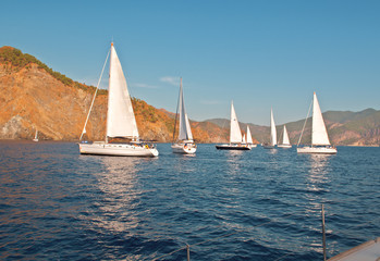 Fototapeta premium yachts