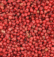 Spicy red chili pepper texture.