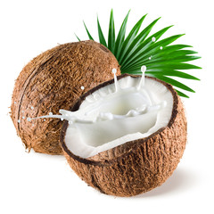 Coconut with milk splash and leaf on white background - obrazy, fototapety, plakaty