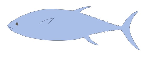 cartoon illustration of tuna fish