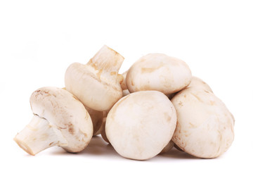 Bunch of white mushrooms close up.