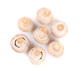 Bunch of white mushrooms close up.