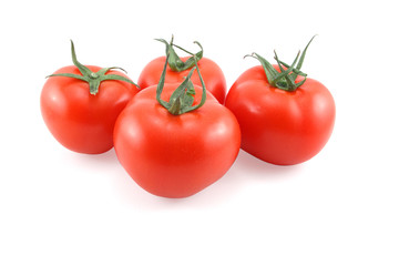 Tomato on white background