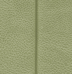 Fototapeta premium green leather texture