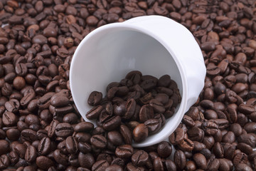 Coffee beans on white background