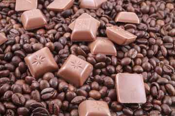Coffee beans on white background