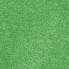 green leather texture