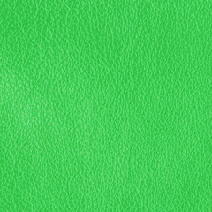 green leather texture