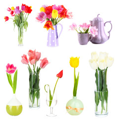 Beautiful tulips in vases isolated on white