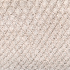 the reverse side of snake leather