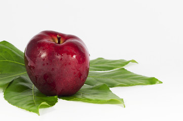 apple