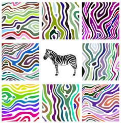Colorful abstract illustration set of zebra pattern