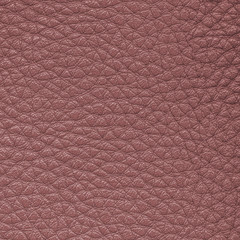Fototapeta premium brown leather texture closeup