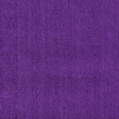 Fototapeta premium lilac jeans fabric