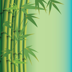 Fototapeta na wymiar background with bamboo leaves and stems