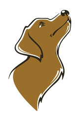 my favorite pet, vector dog image