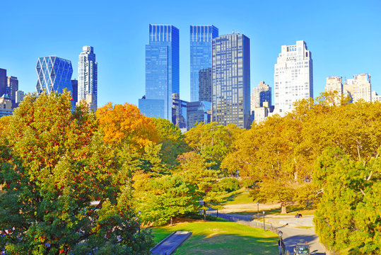 Central Park and city skyline, Manhattan New York