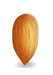 Simple, realistic brown almond illustration, front view.