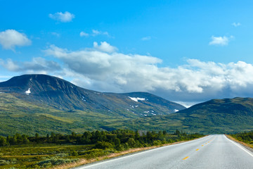 Naklejka premium Norwegian summer road (near Dombas, Norge)