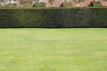 lawn