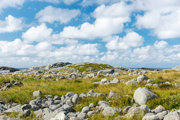 Stony landscape with blue sky with white clouds.