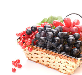 Fresh cranberries and grapes in basket isolated on white backgro
