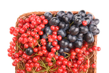 Fresh cranberries and grapes in basket isolated on white backgro