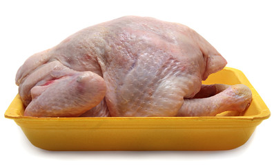 Raw chicken. Isolated on white.