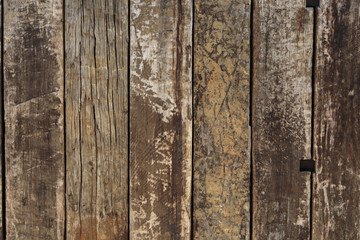 Fototapeta premium Wooden texture
