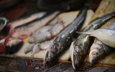 poissons sur le marché