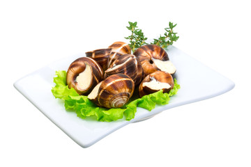 Escargot