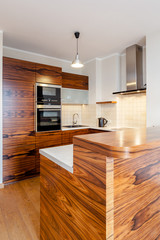 Modern kitchen interior